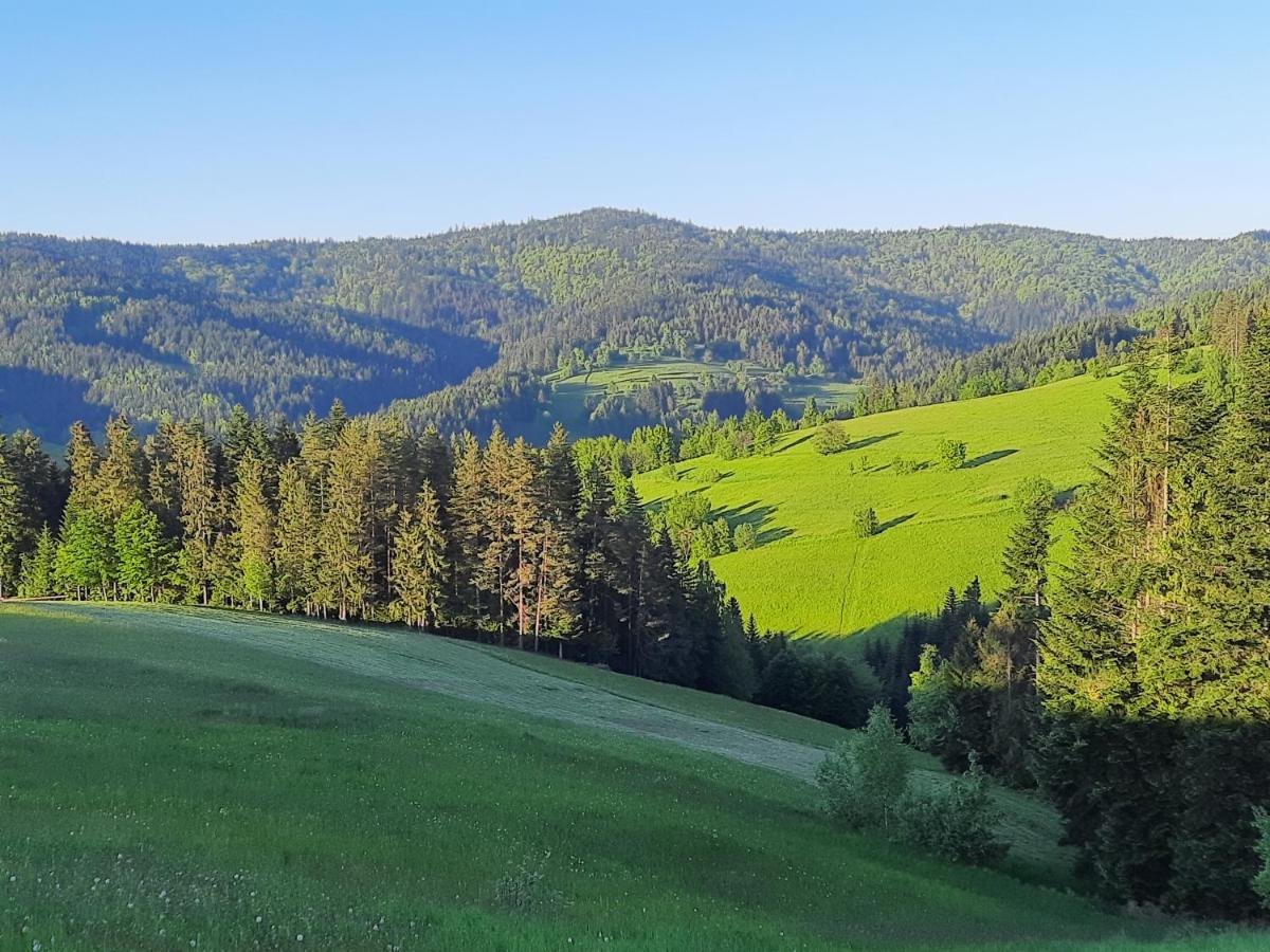 Domek Na Szlaku Rikardo Ponice Luaran gambar
